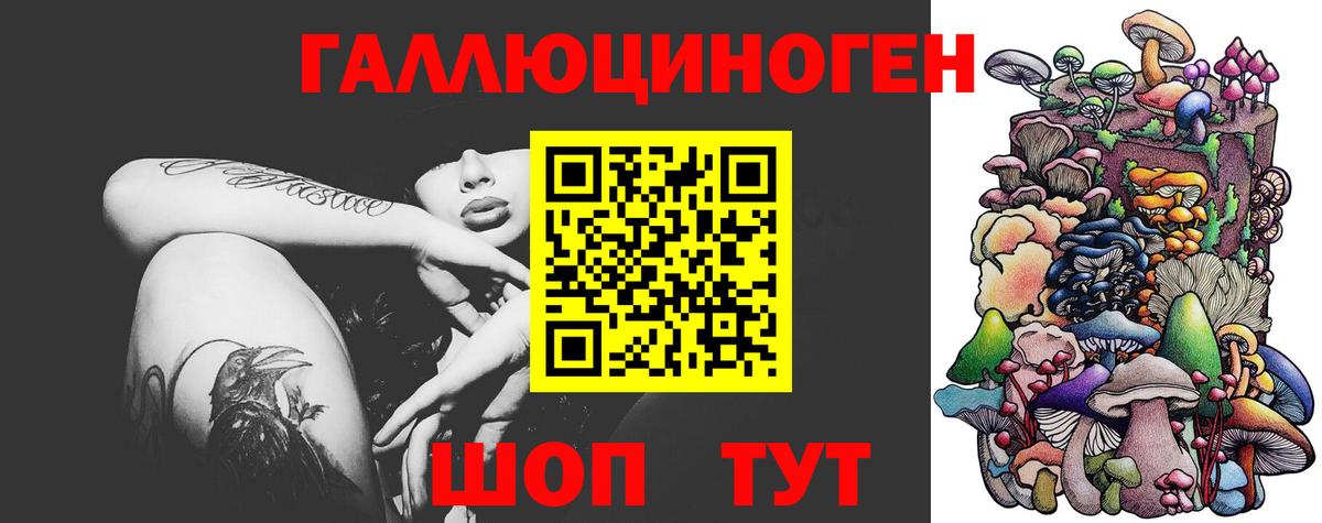 Комсомольск-на-Амуре  Псилоцибиновые грибы Cubensis  Вход с VPN 