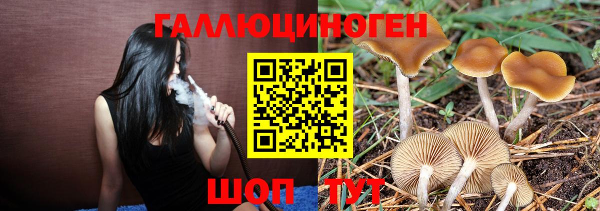 Псилоцибиновые грибы мухоморы Комсомольск-на-Амуре