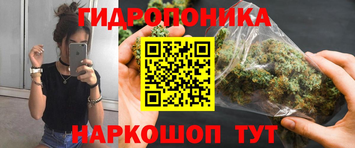 Каннабис сатива  Марихуана сатива  Вход с VPN  Шишки марихуана VHQ  Шишки марихуана White Widow  Комсомольск-на-Амуре 